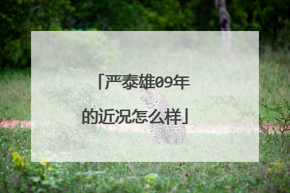 严泰雄09年的近况怎么样