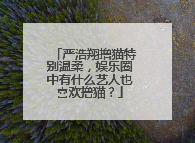 严浩翔撸猫特别温柔，娱乐圈中有什么艺人也喜欢撸猫？