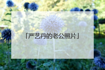 严艺丹的老公照片