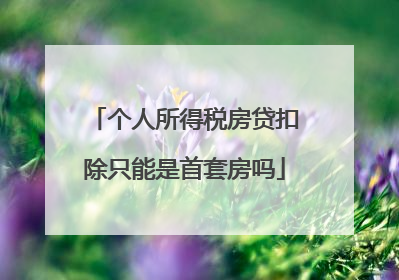 个人所得税房贷扣除只能是首套房吗