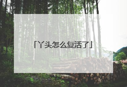 丫头怎么复活了