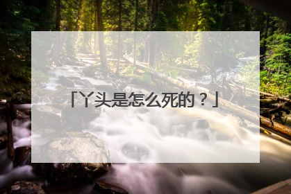 丫头是怎么死的?