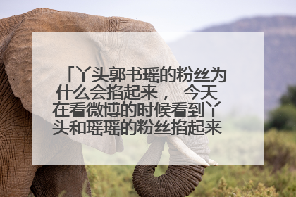 丫头郭书瑶的粉丝为什么会掐起来， 今天在看微博的时候看到丫头和瑶瑶的粉丝掐起来了？为什么阿？