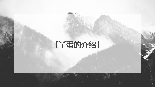 丫蛋的介绍