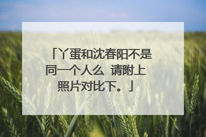 丫蛋和沈春阳不是同一个人么 请附上照片对比下。