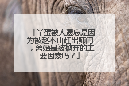 丫蛋被人遗忘是因为被赵本山赶出师门，离婚是被抛弃的主要因素吗？