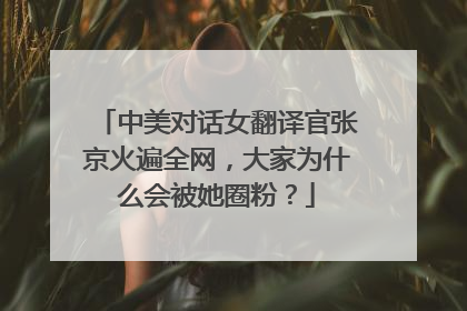 中美对话女翻译官张京火遍全网,大家为什么会被她圈粉?