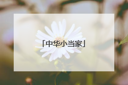 中华小当家