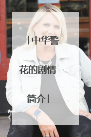 中华警花的剧情简介