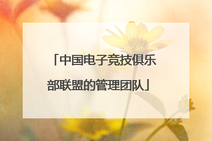 中国电子竞技俱乐部联盟的管理团队
