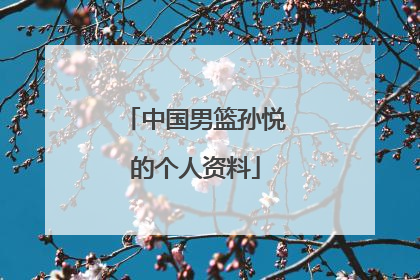 中国男篮孙悦的个人资料