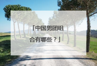 中国男团组合有哪些?