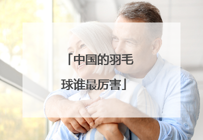 中国的羽毛球谁最厉害