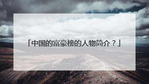 中国的富豪榜的人物简介?