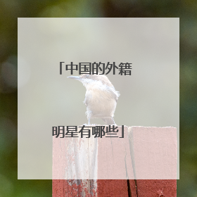 中国的外籍明星有哪些