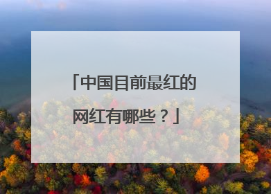 中国目前最红的网红有哪些?