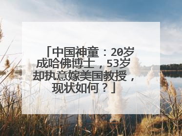 中国神童：20岁成哈佛博士，53岁却执意嫁美国教授，现状如何？