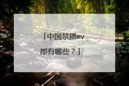 中国禁播mv都有哪些?