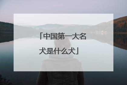 中国第一大名犬是什么犬