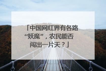 中国网红界有各路“妖魔”,农民能否闯出一片天?