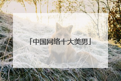 中国网络十大美男