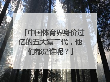 中国体育界身价过亿的五大富二代,他们都是谁呢?