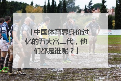 中国体育界身价过亿的五大富二代，他们都是谁呢？