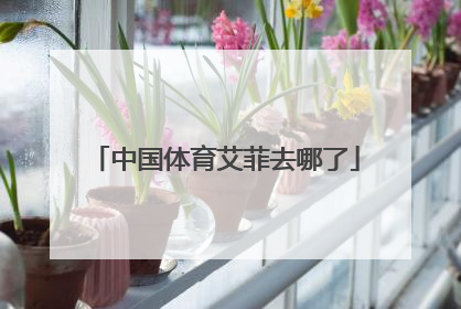 中国体育艾菲去哪了