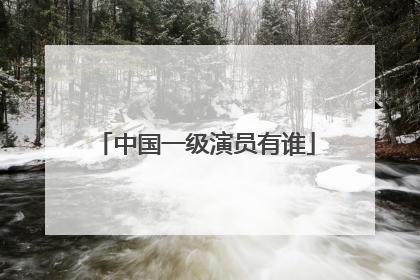 中国一级演员有谁