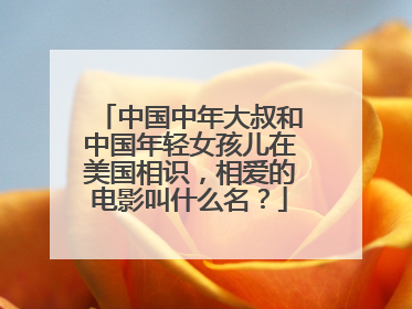 中国中年大叔和中国年轻女孩儿在美国相识，相爱的电影叫什么名？