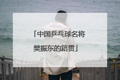 中国乒乓球名将樊振东的籍贯