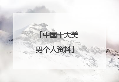 中国十大美男个人资料