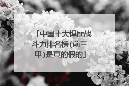 中国十大悍匪战斗力排名榜(前三甲)是真的假的