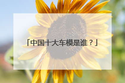 中国十大车模是谁？