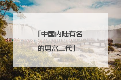 中国内陆有名的男富二代