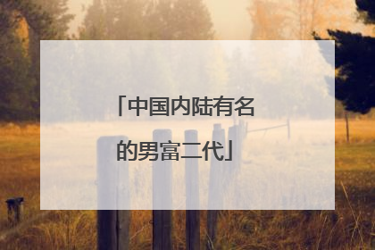 中国内陆有名的男富二代
