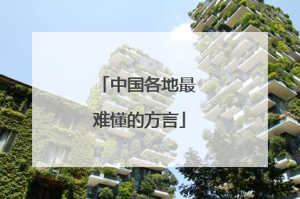 中国各地最难懂的方言