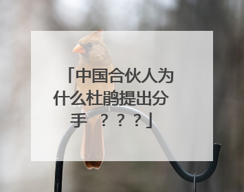 中国合伙人为什么杜鹃提出分手 ？？？