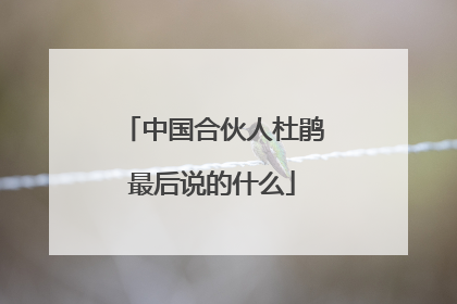 中国合伙人杜鹃最后说的什么