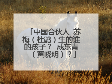 中国合伙人 苏梅(杜鹃)生的谁的孩子? 成东青(黄晓明)?