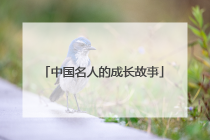 中国名人的成长故事