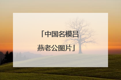 中国名模吕燕老公图片