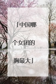 中国哪个女团的胸最大