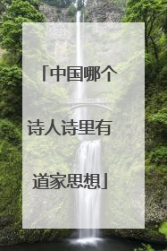 中国哪个诗人诗里有道家思想