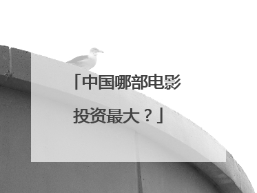中国哪部电影投资最大？