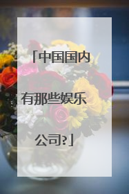 中国国内有那些娱乐公司?