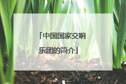 中国国家交响乐团的简介