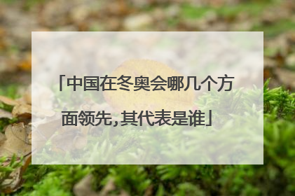 中国在冬奥会哪几个方面领先,其代表是谁