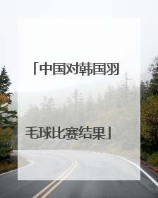 中国对韩国羽毛球比赛结果