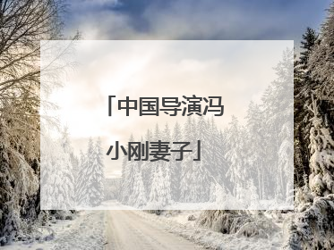 中国导演冯小刚妻子